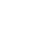 Icoon borstel