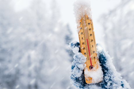 Untitled design (11).png