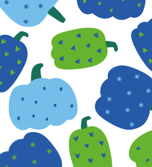 Onze winnaars van de pompoenwedstrijd.png