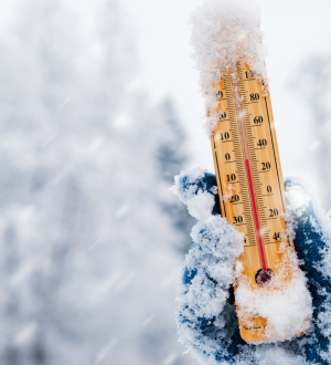 Untitled design (11).png